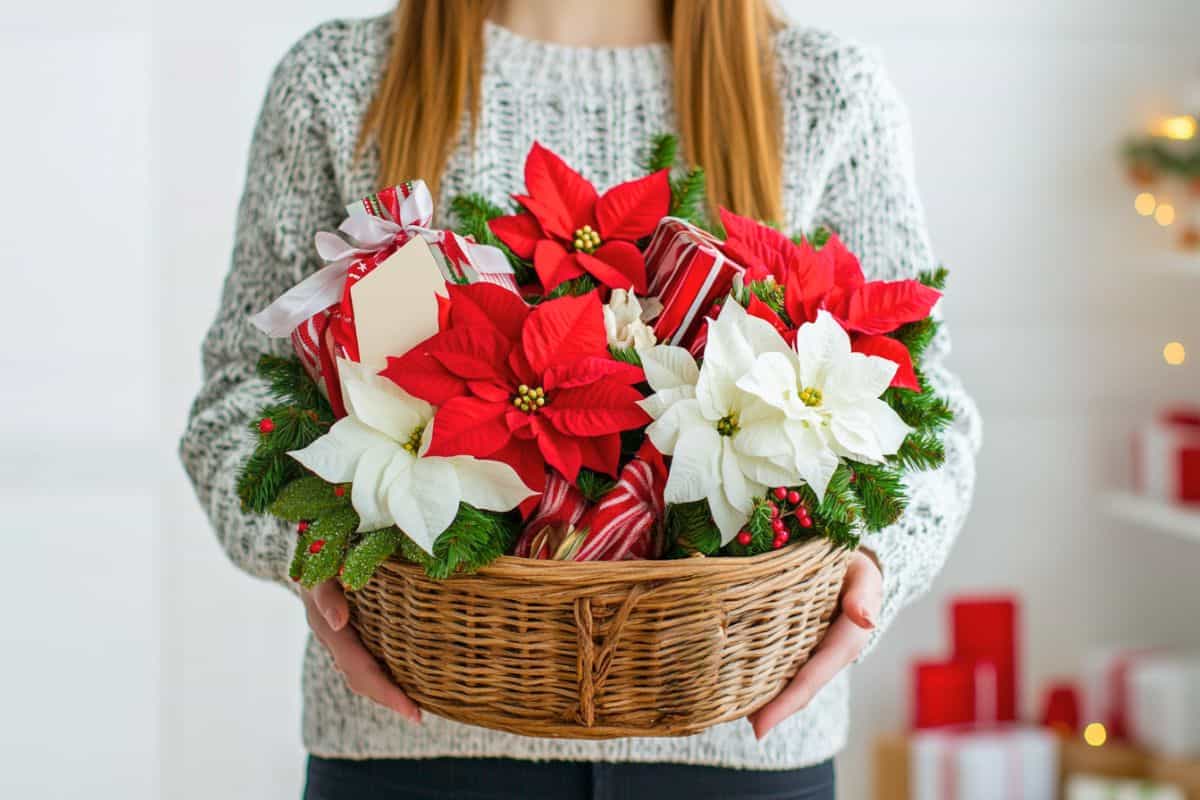 30 Budget Christmas Basket Ideas